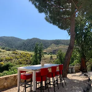 El Bufon De La Corte , Carratraca España